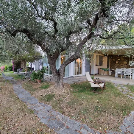Degli Ulivi Holiday home *