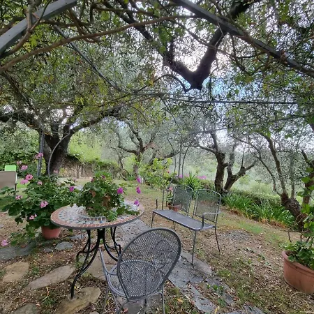 Degli Ulivi Holiday home Imperia